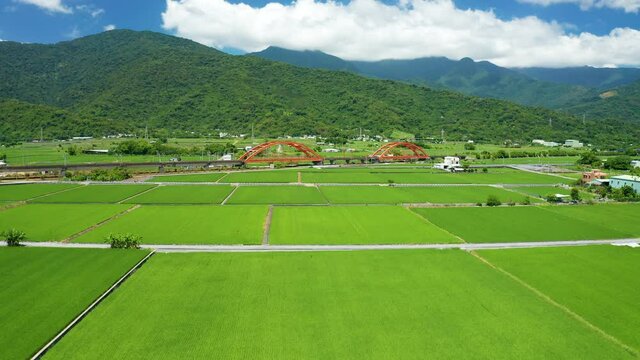Aerial view beautiful Kecheng Iron Bridge over rice paddy fields in Yuli, Hualien, Taiwan