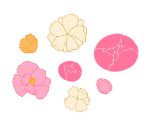 A collection of spring flowers for romantic compositions, greeting and wedding cards. Cozy cute pink and white flowers: peonies, poppies, magnolias. Decorative cartoon style. The atmosphere of spa.