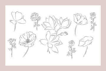 Collection of hand drawn flowers and plants. Monochrome vector illustrations in sketch style. Line work tattoo ink sketch. 