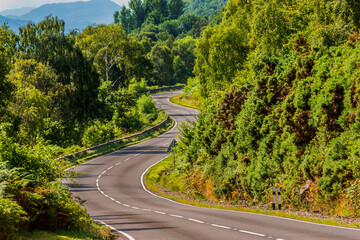 A narrow, winding road in Scotland along Loch Ness. Trees and bushes next to the road in summer in...