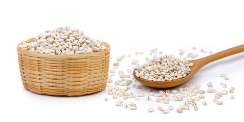 Barley Grains in the basket on white background