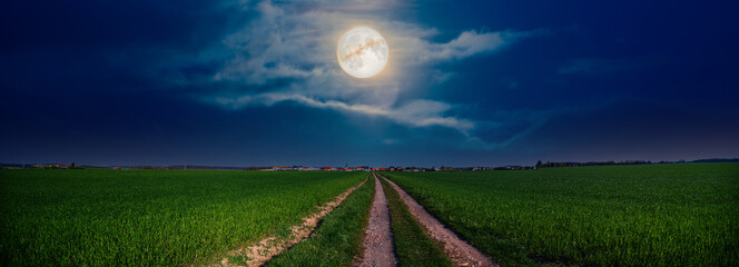Path in a night meadow overlooking the full moon