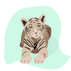 Symbol of the new year 2022. Tiger with stripes. Cute tiger cub lies on his tummy.