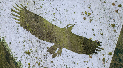 Pictogram of a bird overgrown with green moss
