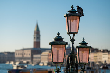 Lanterns in front of doge palace and Campanile in Venice