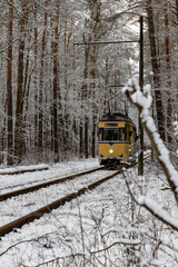 Yellow tram traveling through the snowy forest in Berlin