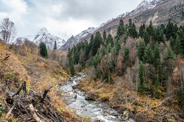 Fototapeta na wymiar nature, landscape, mountains, rocks, snow, snowy peaks, valley, gorge, forest, trees, christmas trees, grass, yellow foliage, expanse, river, stream, water, autumn, day, sky, clouds, walk
