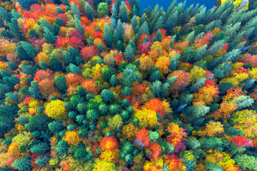 Fototapeta na wymiar Synevyr lake autumn mountains