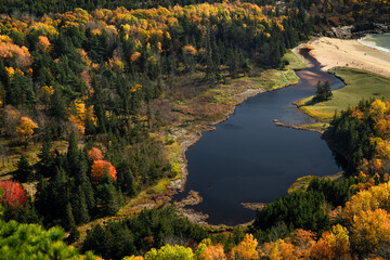 Acadia National Park, Maine, USA