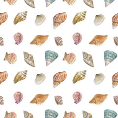Sea shells watercolor painted seamless pattern. Detailed realistic illustration of colorful sea sheels can be used as print, fabric, textile,wallpaper, wrapping paper, element design, digital paper.