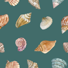 Sea shells watercolor painted seamless pattern. Detailed realistic illustration of colorful sea sheels can be used as print, fabric, textile,wallpaper, wrapping paper, element design, digital paper.