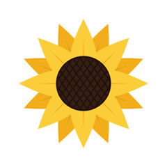 Sunflower icon. An agricultural plant. Sunflower is the main source of oil production. Sunflower oil is very healthy and delicious. Vector illustration isolated on a white background for design.