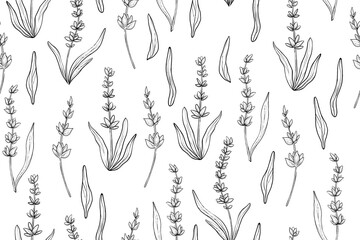 Lavender seamless pattern, hand drawn monochrome vector illustration