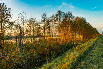 Sunset near the Narew River in nature