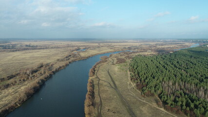 River among meadows and pine forest in autumn evening