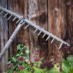Alter Heurechen aus Holz steht an einer Holzwand gelehnt