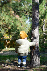 Infant boy in woods holding tree ,eco wood, respect nature symbol