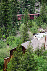 wooden bridge in the forest