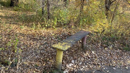bench in the forest 