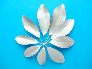  Natural shiny leaf painted with  silver metallic paint on a blue background. Leaves of a plant Schefflera, close-up.		