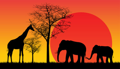 Naklejka na ściany i meble sunset silhouette animal vector