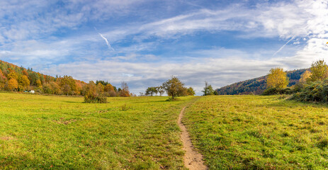 Beautiful natural German Orchard meadow in autumn with slightly clouded sky. Ideal for a recreational walk in Nature.
