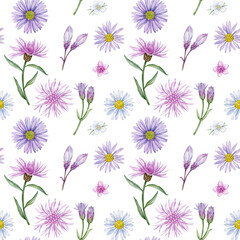 Watercolor flowers seamless pattern. Wild meadow flowers rapport can be used as print, postcard, invitation, packaging design, textile, fabric, wrapping paper.