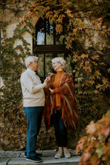 Senior couple embracing in autumn park