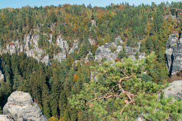 Rocks and coniferous forest in autumn in Germany