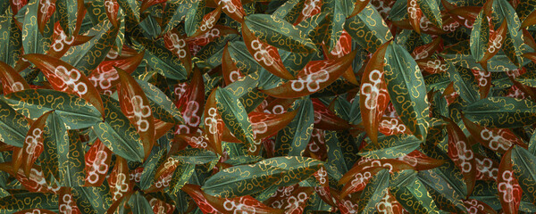 Obraz premium Abstract leaf background, background for design.