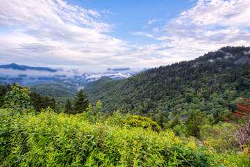 Naklejka premium View from the Blue Ridge Parkway - Western North Carolina
