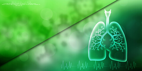 Healthy Human Lungs 2d illustration

