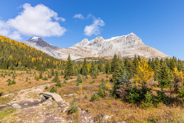 The Canadian Rockies