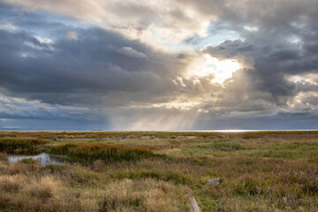 The Canadian Rockies
