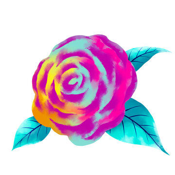 Watercolor of colorful rose with clipping path