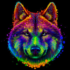 Abstract, colorful, neon portrait of a wolf's head on a black background in pop art watercolor style. Digital vector graphics