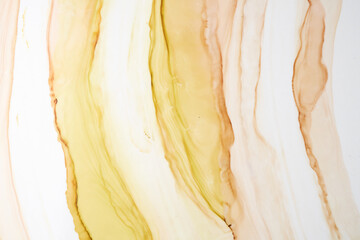 Abstract ocher watercolor on white background. Yellow orange brown paint stains and spots in water,...