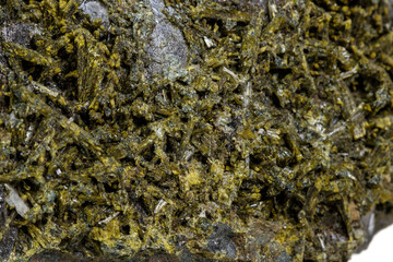 Macro mineral Epidote stone on a white background