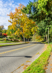 Autumn Burien Street 9