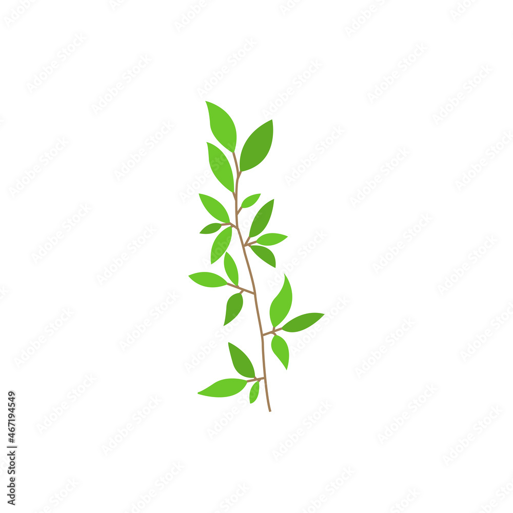 Canvas Prints leaf branch icon design template vector
