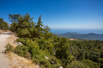 Jeep trip in the mountains of Turkey along the Lycian trail. Magnificent views from the height. Pine forest and rocks. Sea view from the top.