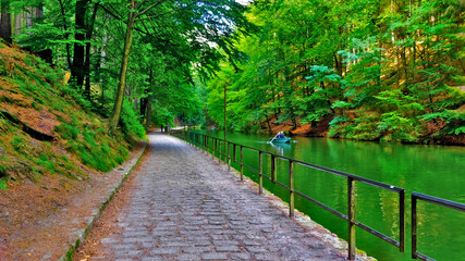 Stone forest road by the river during Summer day in Germany.