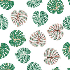Simple tropical seamless pattern with monstera leaves isolated on white background