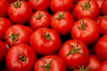 Piękne świeże pomidory przygotowane do sprzedaży na targu / Beautiful fresh tomatoes prepared for sale at the market © Follow the Sun