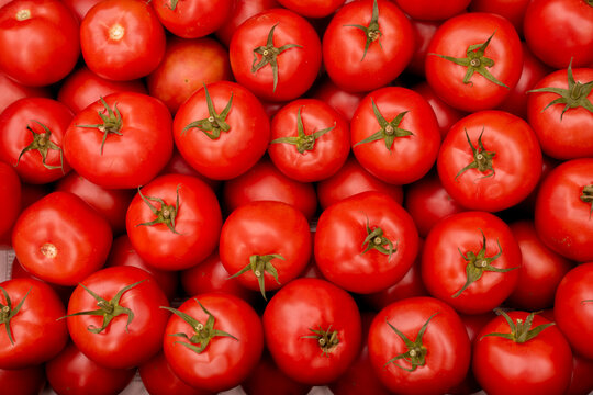 Piękne świeże pomidory przygotowane do sprzedaży na targu / Beautiful fresh tomatoes prepared for sale at the market