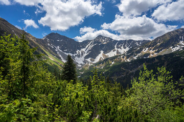 Fototapeta na wymiar Slovak Western Tatras. View of the Rohace peaks.