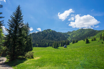 Kalatowki Glade in June. Western Tatra Mountains.