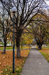asphalt path in the autumn park