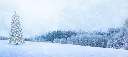 Fototapeta premium Schneelandschaft mit Tannenbaum