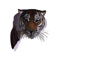 vector drawing of the silhouette of a tiger, the symbol of 2022 on a white background